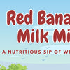 🌿 Red Banana Milk Mix – A Nutritious Sip of Wellness! 🍌🥛