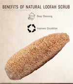 Natural Loofah Scrub (Normal Shape)