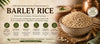 Barley rice raw whole grain — high fibre ancient grain | Theerthaa