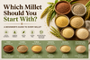 Six Indian millets in terracotta bowls — ragi, thinai, kambu, varagu, saamai and kuthiraivali — a beginner's guide to choosing the right millet | Theerthaa