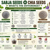 Sabja Seeds vs Chia Seeds: What's the Difference?