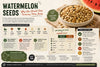 Dried watermelon seeds (tarbuj ke beej) in a wooden bowl — protein, magnesium and zinc benefits of eating watermelon seeds | Theerthaa