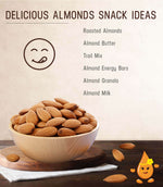 Almond Regular